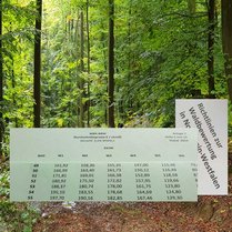 Gutachten & Waldbewertung